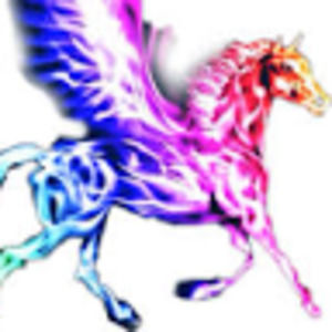 Meet your Posher, Pegasus painting llc